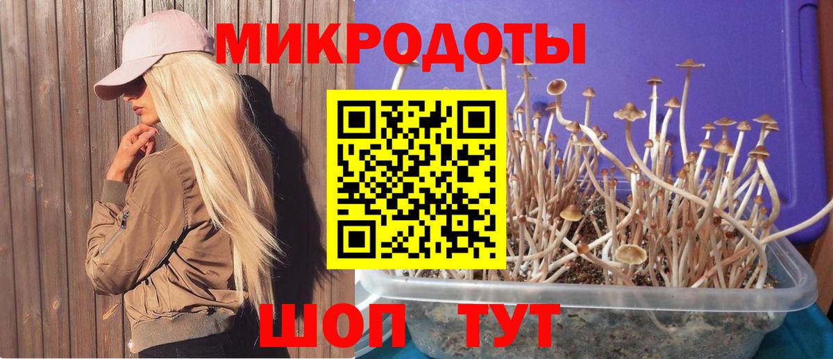 Псилоцибиновые грибы мухоморы  Вход с VPN  Сергиев Посад 