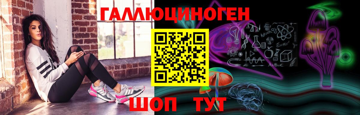 Псилоцибиновые грибы Cubensis Сергиев Посад